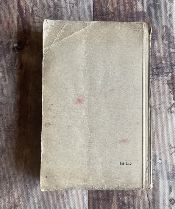 Francisc Munteanu - În orașul de pe Mureș [2]