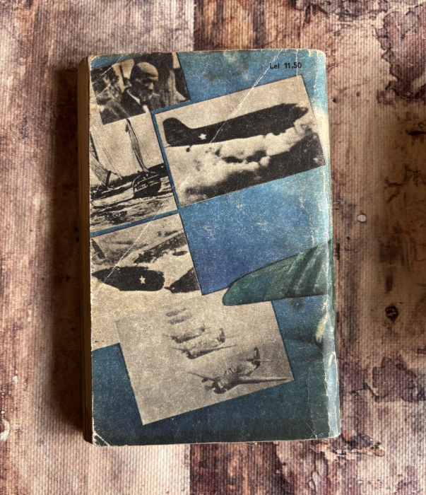 Dan Apostol, Sorin Ștefănescu - Zborul 19 [2]