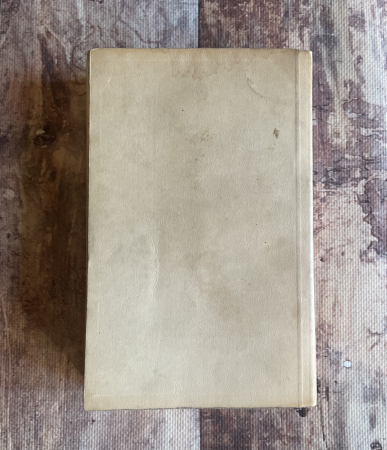 Ion Sassu Ducșoara - În luncile soarelui [1]