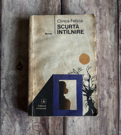 Toate produsele - Clinca Felicia - Scurtă întâlnire
