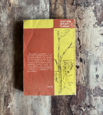 Valentin Berbecaru - Provincia sufletelor [1]