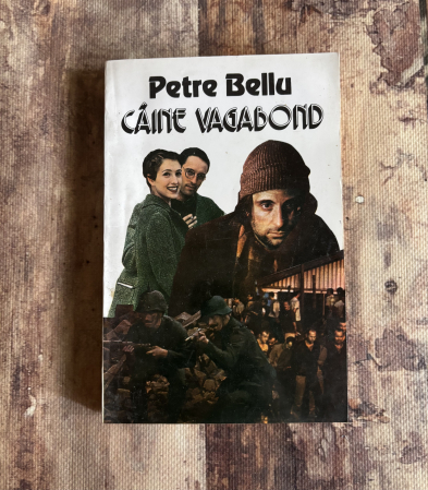 Toate produsele - Petre Bellu - Câine vagabond