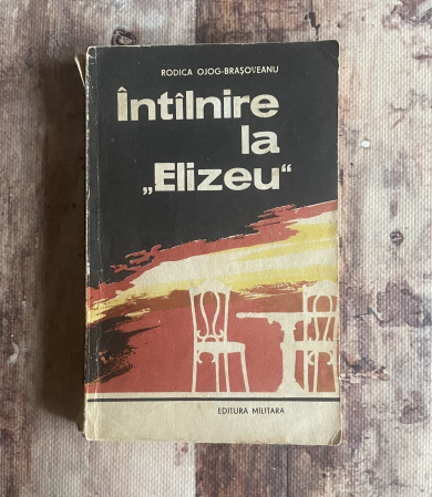 Toate produsele - Rodica Ojog-Brașoveanu - Întâlnire la Elizeu