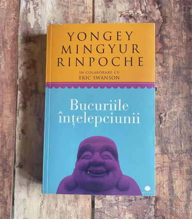 Diverse - Yongey Mingyur Rinpoche - Bucuriile înțelepciunii