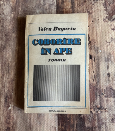 Toate produsele - Voicu Bugariu - Coborâre în ape