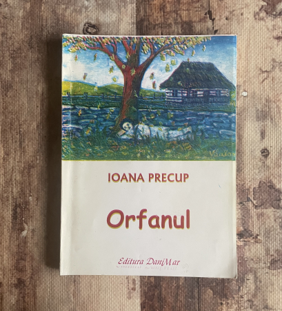 Toate produsele - Ioana Precup - Orfanul