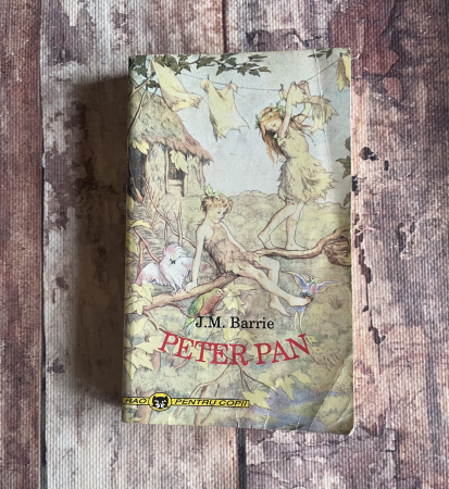 Cărți pentru copii - J.M. Barrie - Peter Pan