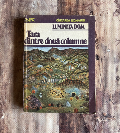 Toate produsele - Luminița Dona - Țară dintre două columne