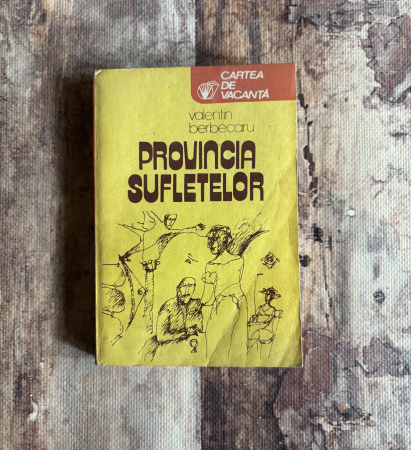Toate produsele - Valentin Berbecaru - Provincia sufletelor
