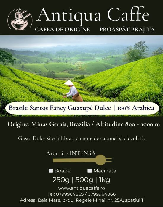Brasile Santos Fancy Guaxupé Dulce – Cafea de origine 100% Arabica | Antiqua Caffe [2]