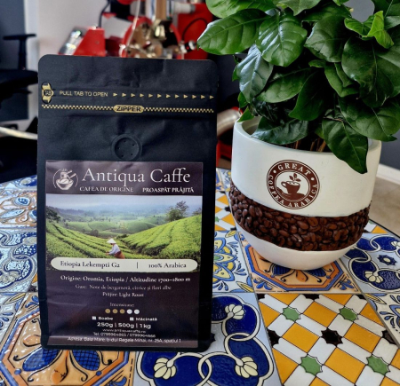 Produse - Ethiopia Lekempti G2 – Cafea de origine 100% Arabica | Antiqua Caffe