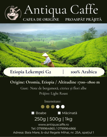 Ethiopia Lekempti G2 – Cafea de origine 100% Arabica | Antiqua Caffe [1]
