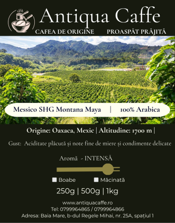 Messico SHG Montana Maya – Cafea de origine 100% Arabica | Antiqua Caffe [1]