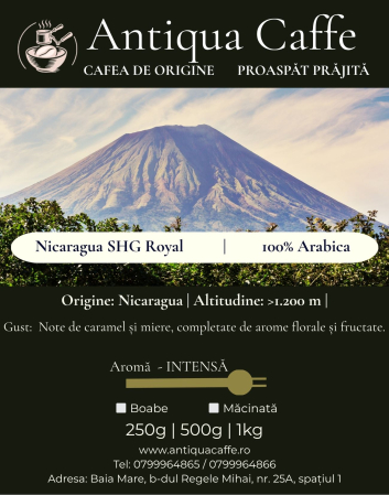 Nicaragua SHG Royal – Cafea de origine 100% Arabica | Antiqua Caffe [1]