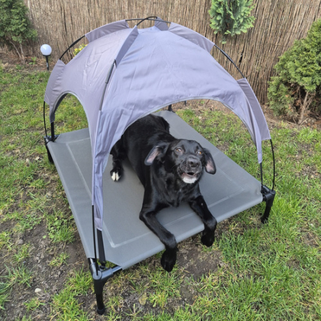 Pat acoperit XXL pentru câini– cu acoperiș impermeabil, ridicat de la sol, pliabil rapid, 90x90x70 cm [8]