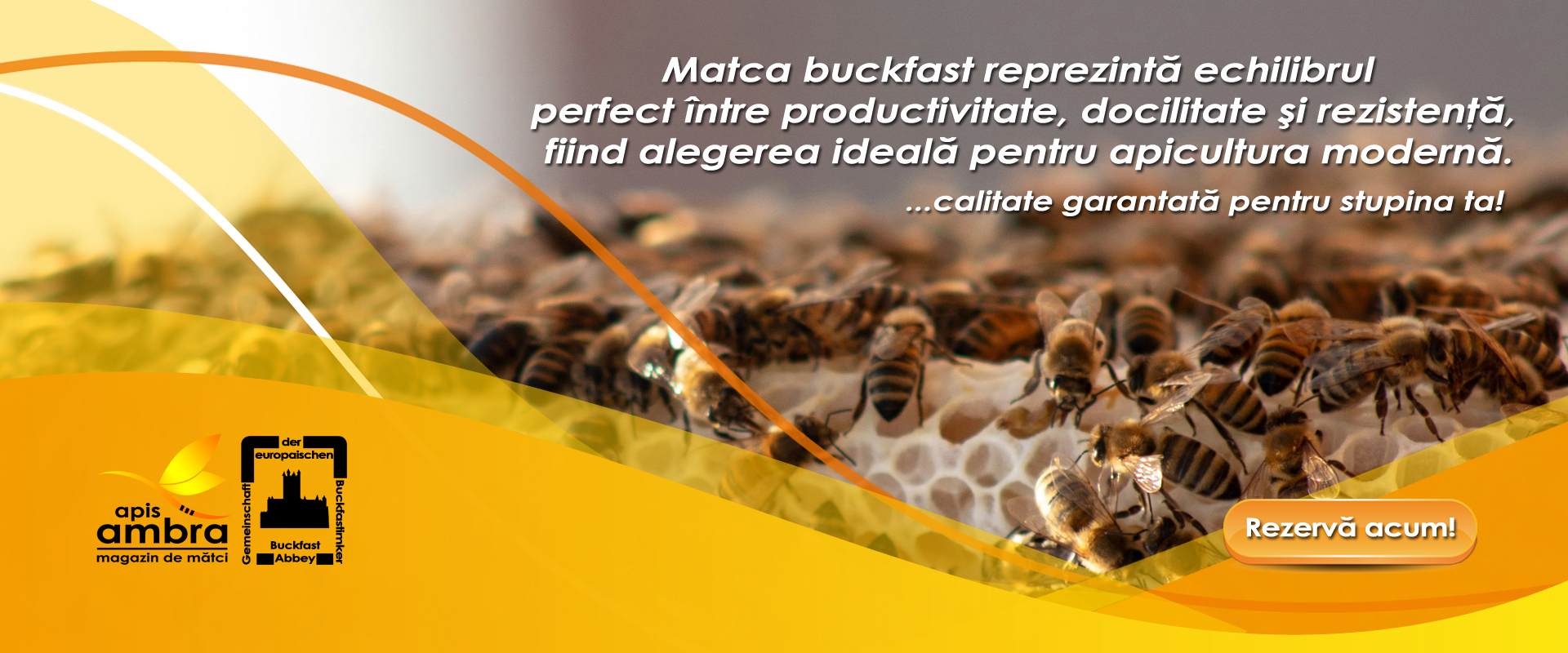 Matci De Productie - Apis Ambra