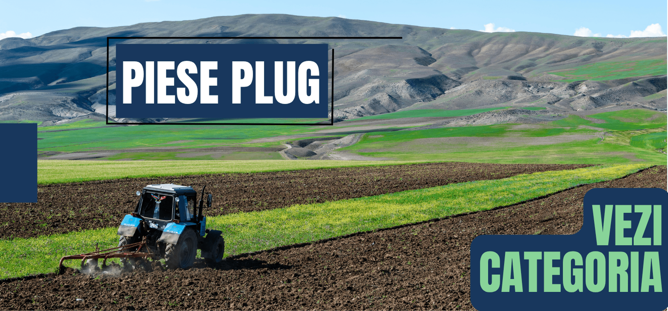 Piese Plug