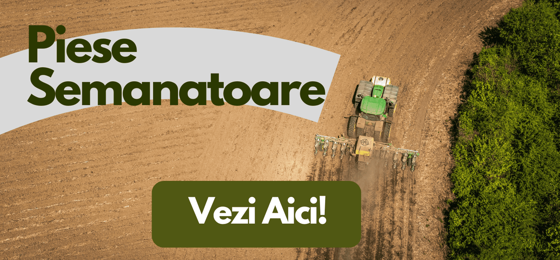 Piese Semanatoare