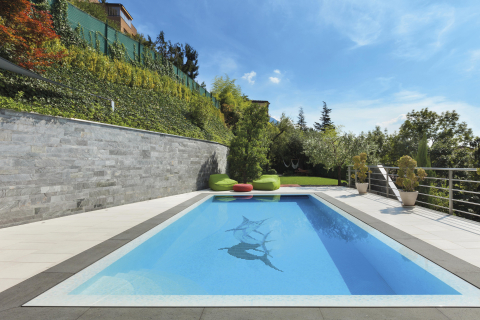 Decor din Mozaic Happypools Delfin [1]