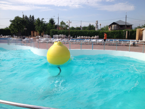 Portofoliu de Lucrari Constructii Piscine - Piscina cu Valuri AquaClub Bacau