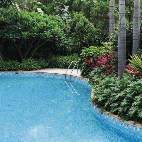 Borduri Decorative din Mozaic Piscine - Colectia Aquastyle Borders [1]
