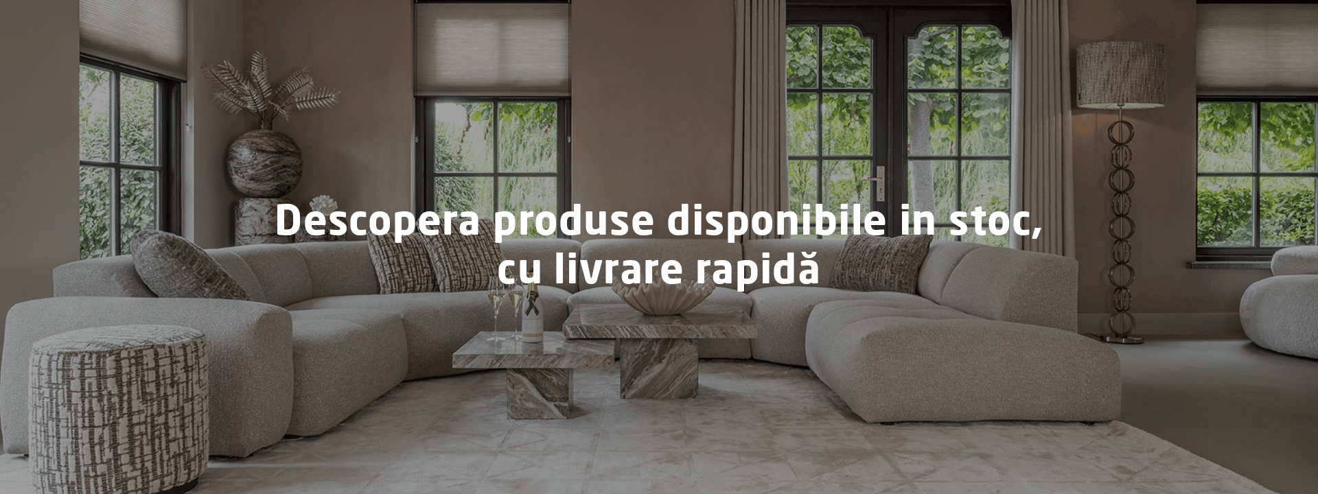 In stoc livrare desktop