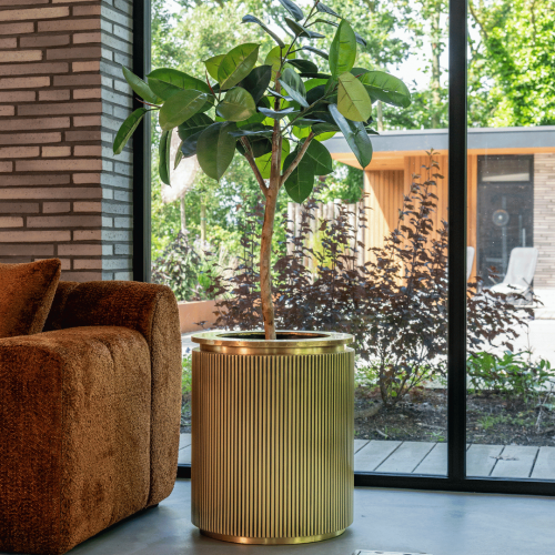 Ghivece si suporturi de flori