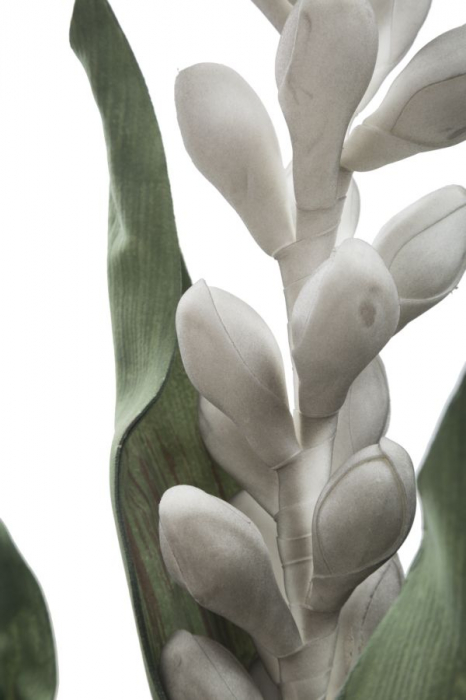 Aloe floare gri cm ø 23x93 [2]