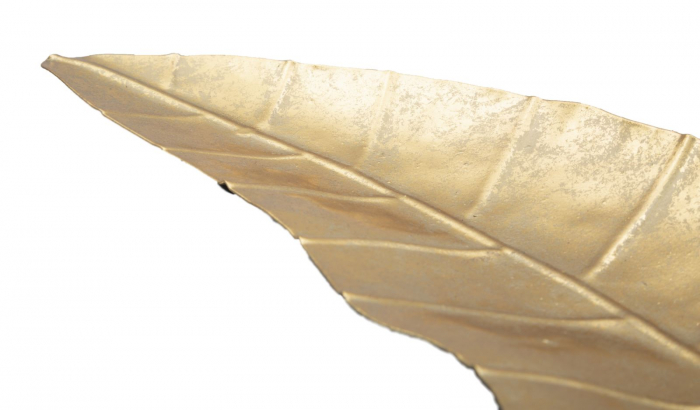 Bol decorativ Foglia, fier, auriu, 38X3X11 cm [5]