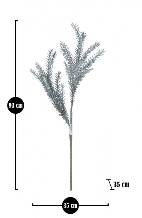 Bulrush albastru cm ø 35x93 [4]