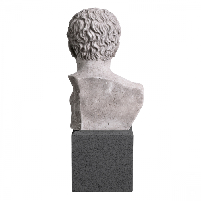 Bust roman imperial cu aspect antic din piatra, Dims: W. 19 | D. 15 | H. 49 (CM) [5]