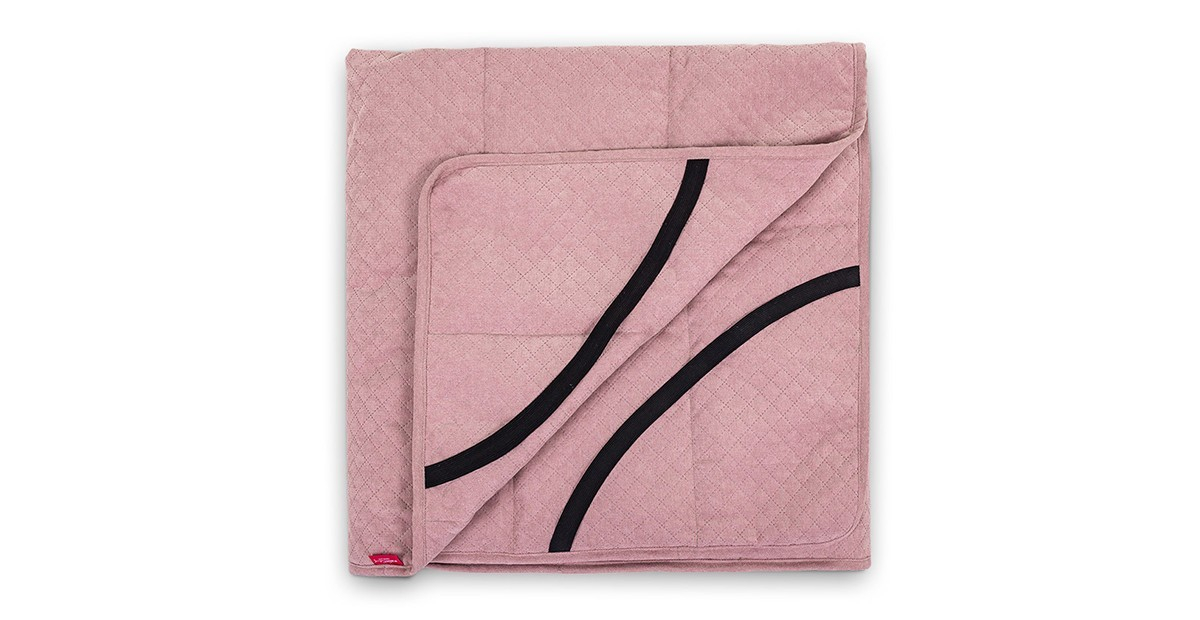 Cheesecake pilota [2]