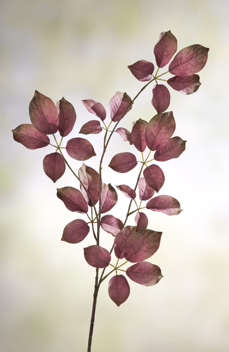 Crenguta BEERENZWEIG, fibre sintetice, 91 cm [2]