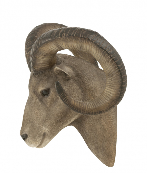 Decoratiune de perete Goat Head, Rasina, Maro, 28x48x22 cm [2]