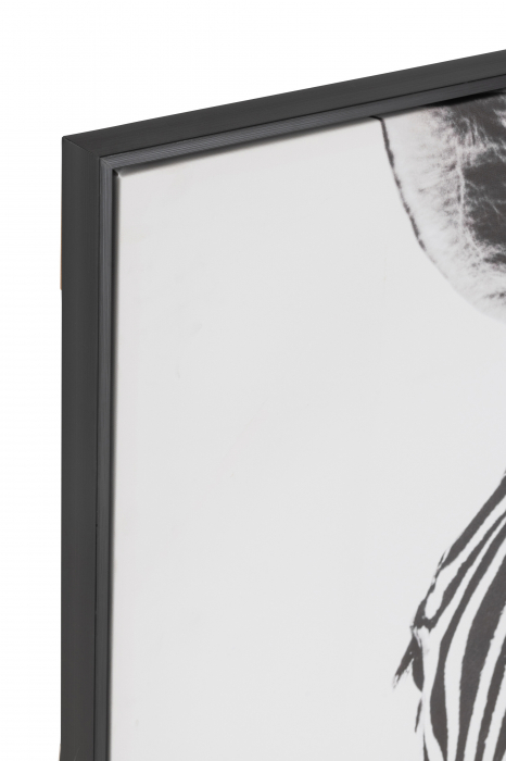 Decoratiune de Perete Zebra, Panza/Plastic, Negru/Alb [2]