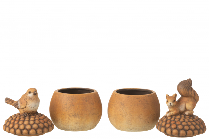 Decoratiune, Pasăre si veveriță pe ghindă, porțelan maro, sortiment mare de 2 [3]