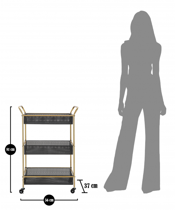 Etajera cu roti Fashion, Fier, Negru/Auriu, 81x56x37 cm [9]