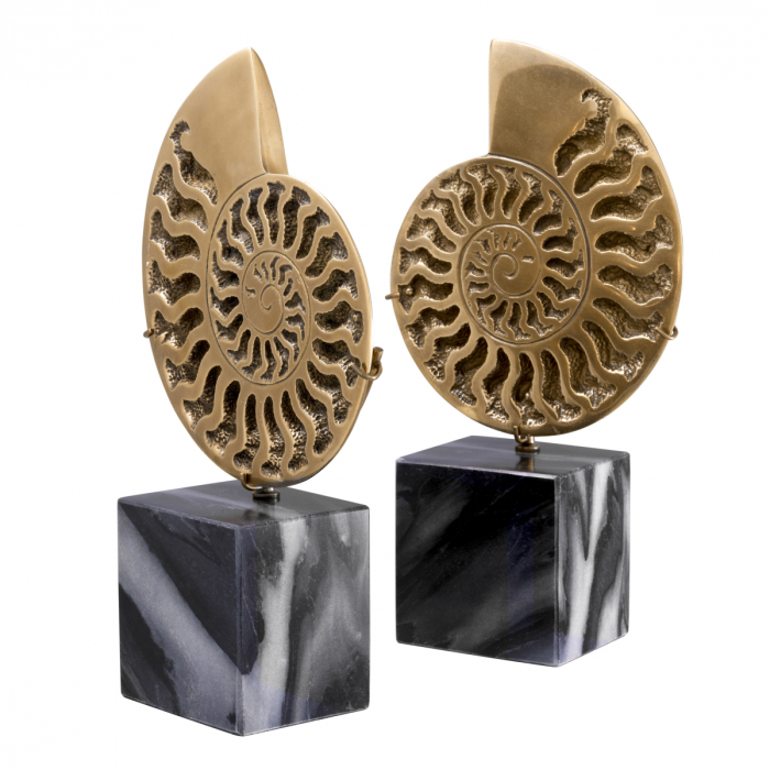 Figurină Ammonite, Set de 2, finisaj din alamă cu aspect vintage , Dims: W. 16.5 | D. 9 | H. 29 (CM) [3]