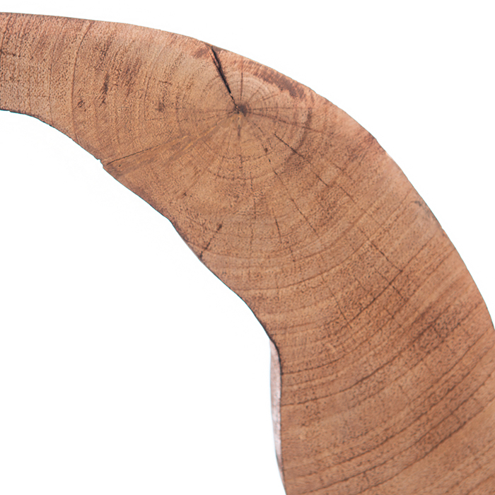 Figurina HEALTH, lemn/aluminiu, 27X28.5X5 cm [3]