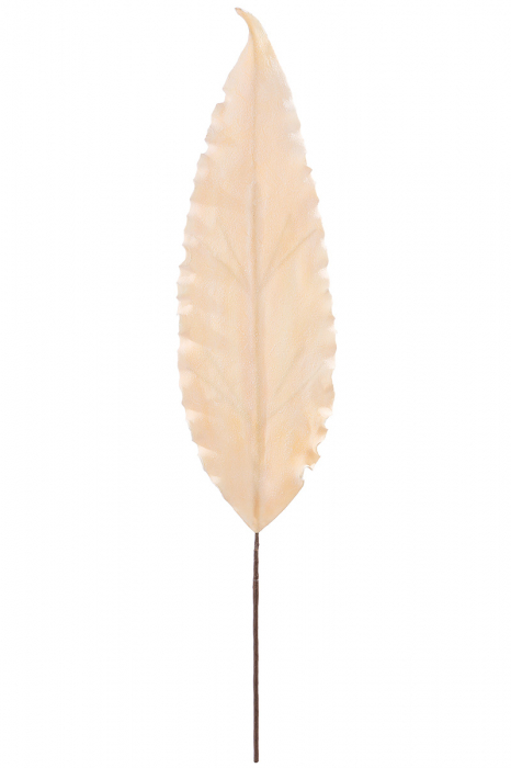 Floare decorativa spuma, Leaf [2]