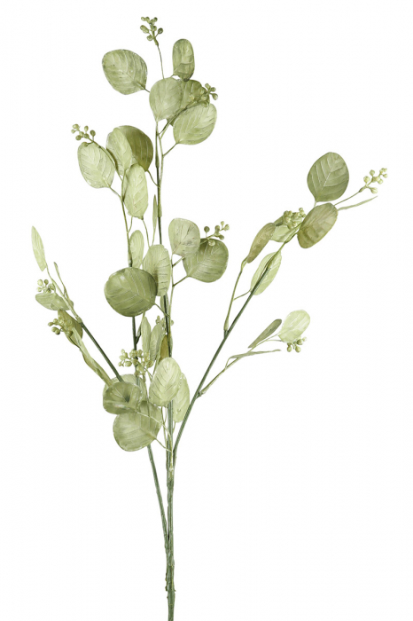 Floare, Frunza argintie, Sintetica, verde, PU 24, H. 76 cm [2]
