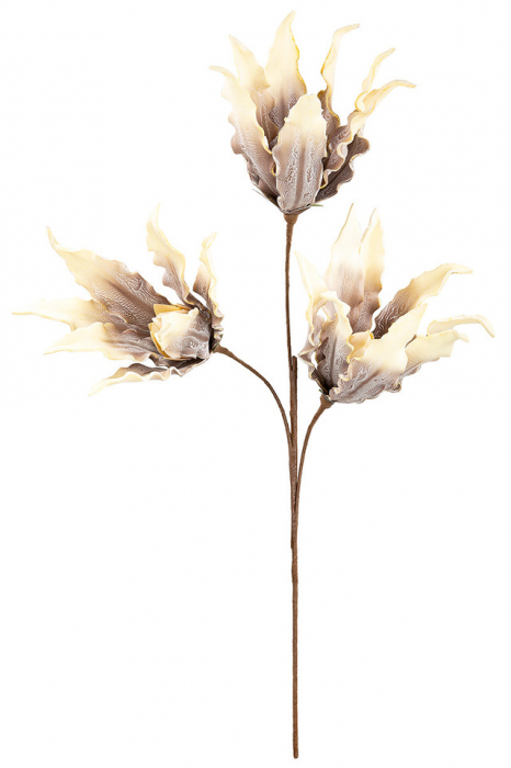 Floare spuma, OSCHUS, Plastic, 44X55X93 cm [2]