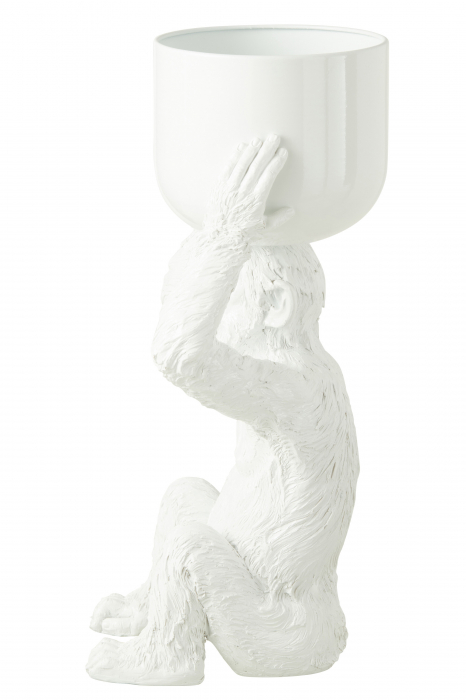 Frapiera/fructiera, MONKEY, 57 cm [4]