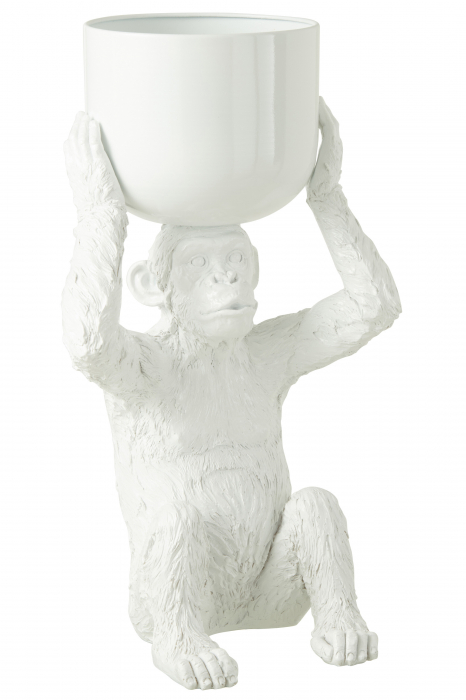 Frapiera/fructiera, MONKEY, 57 cm [2]