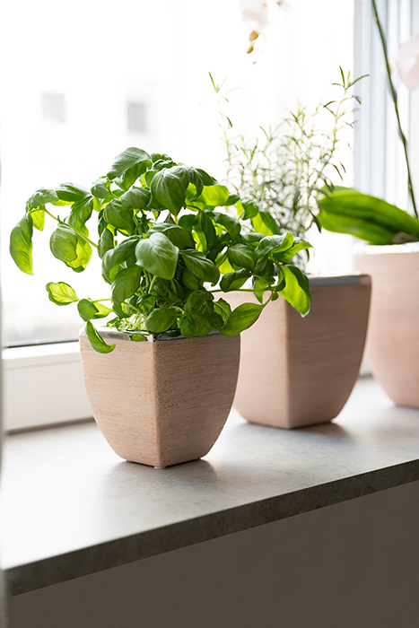 Ghiveci Endra, Ceramica, Roz inchis/Argintiu, 11x12.5x11 cm [2]