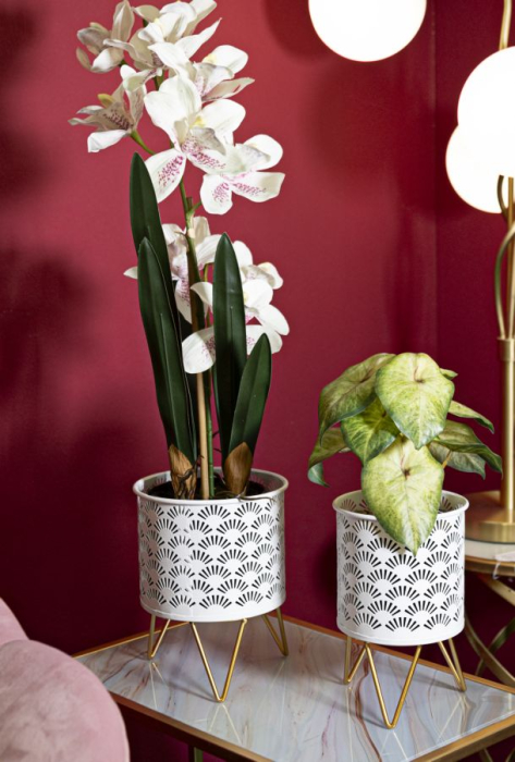 Ghiveci Glod, set 2, Carly cm ø 16x20-13x20 [5]