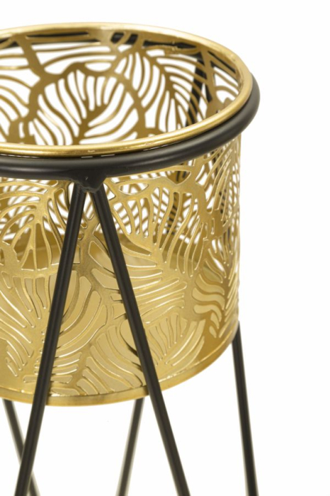 Ghiveci Glod, set 2, cm 21x20x46-18x18x32 [3]