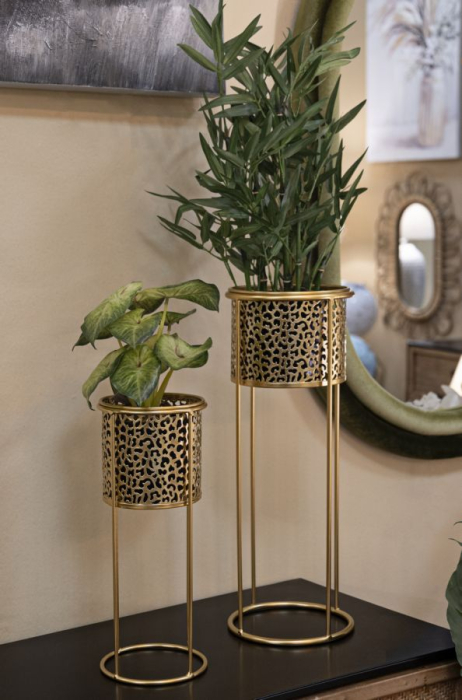 Ghiveci Glod, set 2,cm ø 17x46-14x34 [5]