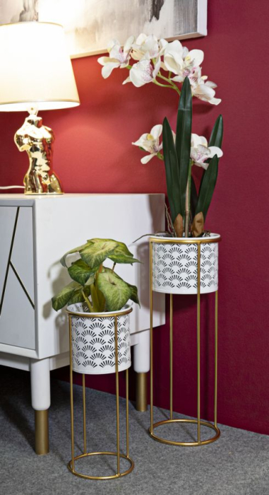 Ghiveci Glod, set 2, Whity cm ø 17x46-14x34 [5]