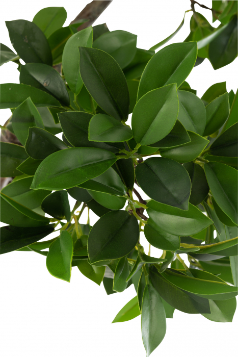 Ginseng artificial, Textil, Verde, 38x30x120 cm [4]